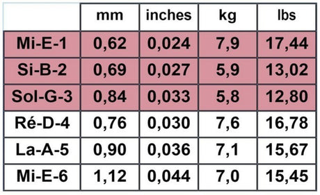 Savarez Klassikgitarre-Saiten Alliance Cantiga - Musik-Ebert Gmbh