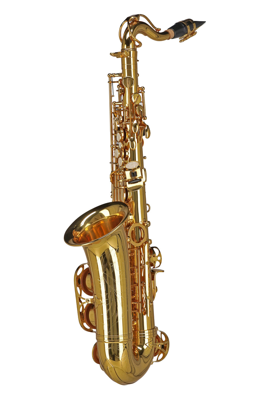 GEWA Germany Eb-Alt Kindersaxophon AS655 Ambition