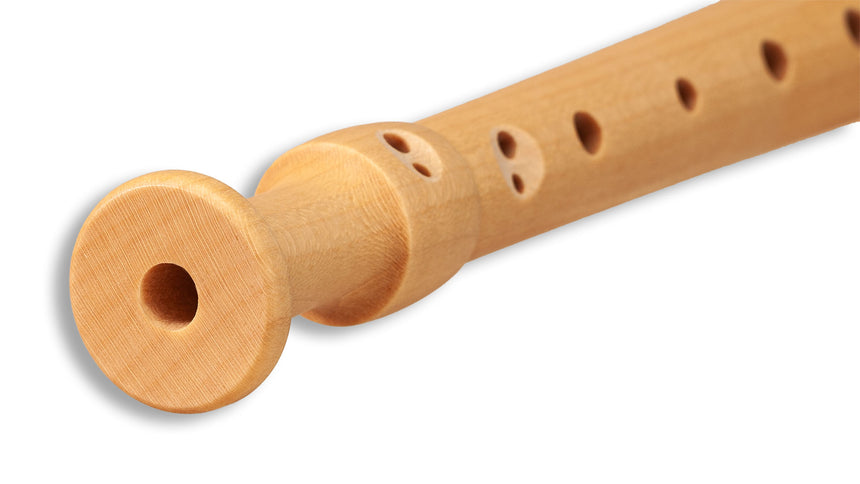 Mollenhauer Holz-Kunststoffsopranblockflöte "Fipple" barocke Griffweise + Der Blockflötenspatz Band 1 (+CD) - Musik-Ebert Gmbh