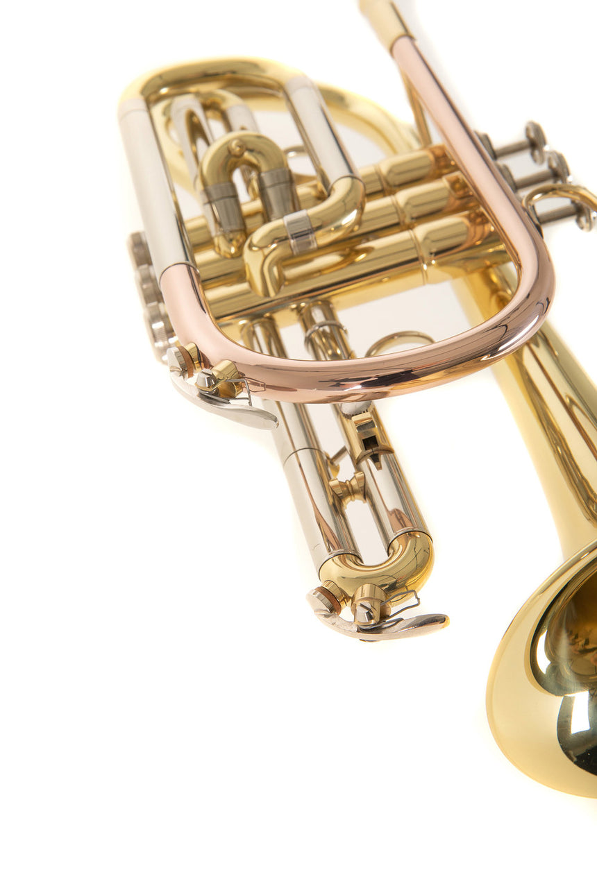 Roy Benson Kornett CR-202 - Musik-Ebert Gmbh