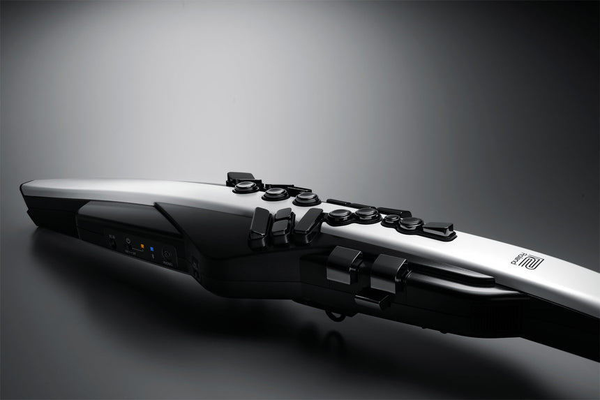 Roland Aerophone AE-20 – Detailansicht der Klappen und Bedientasten