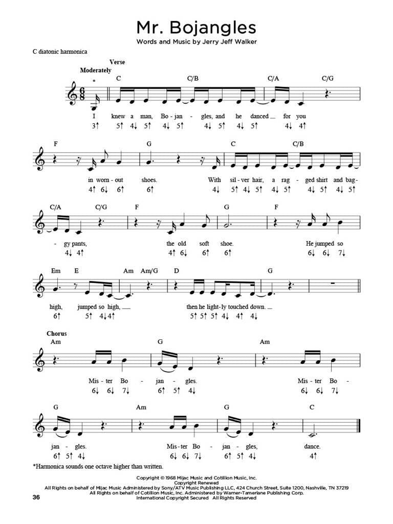 First 50 Songs You Should Play on harmonica - Musik-Ebert Gmbh