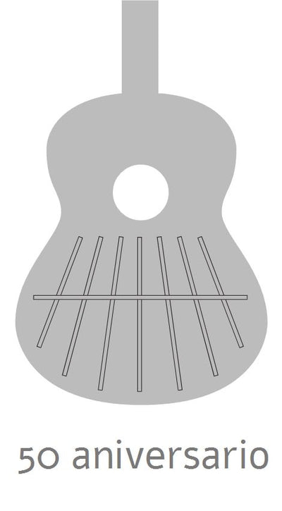 Alhambra Iberia Ziricote Konzertgitarre 4/4 mit Tasche - Musik-Ebert Gmbh