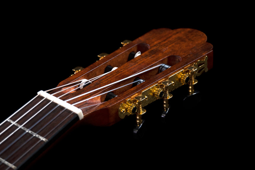 Prodipe Primera Konzertgitarre 4/4 - Musik-Ebert Gmbh