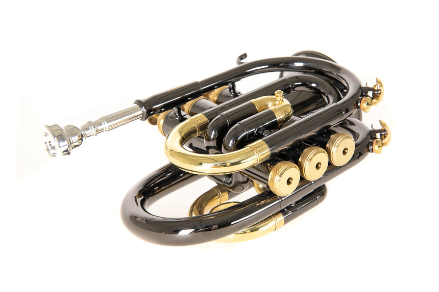 Roy Benson PT-101K, anthracite – vue avant de trois quarts