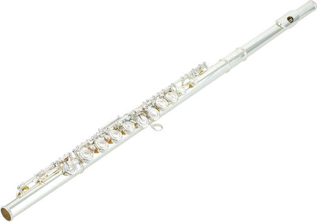 Yamaha YFL-212 Kinder-Querflöten-Bundle mit gebogenem Kopfstück, Ständer & Pflegeset