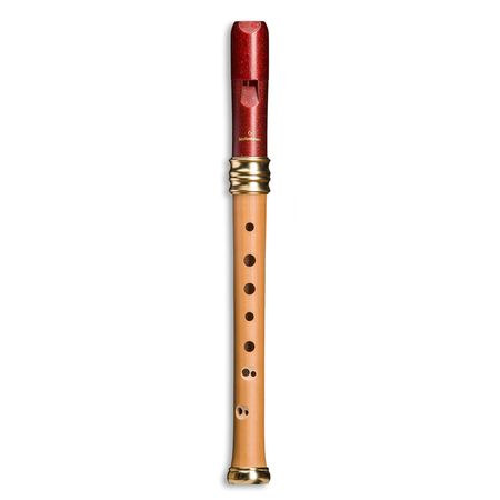 Mollenhauer soprano recorder Adri's dream recorder wood/plastic blue, baroque double hole