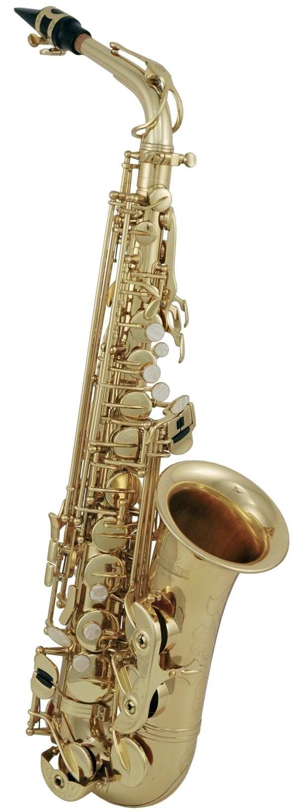 Roy Benson AS-302 Altsaxophon-Bundle mit Ständer, Pflegeset & Bissplatten