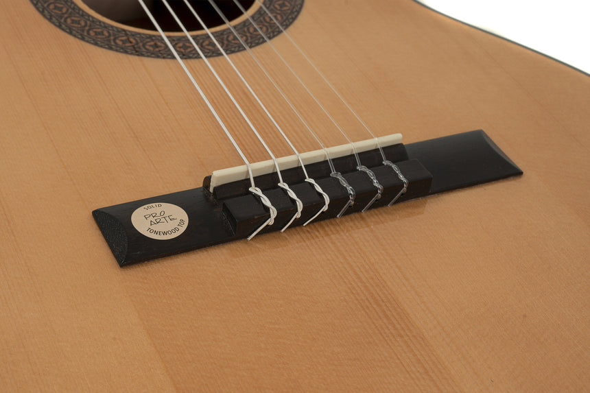 GEWA Klassikgitarre Pro Arte GC 25A B-Ware - Musik-Ebert Gmbh