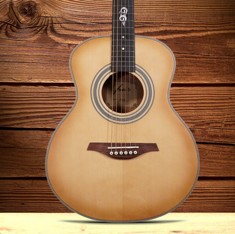 You's Guitar Travel Birdy (incl. bag)