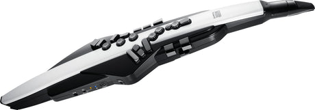 Roland Aerophone AE-20 Digitales Blasinstrument – Gesamtansicht schräg von rechts