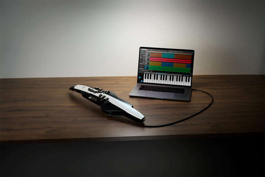 Roland Aerophone AE-20 – per USB an einen Laptop mit Musiksoftware angeschlossen