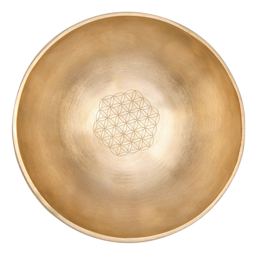 Meinl Klangschale SB-SET-FOL600 - Musik-Ebert Gmbh