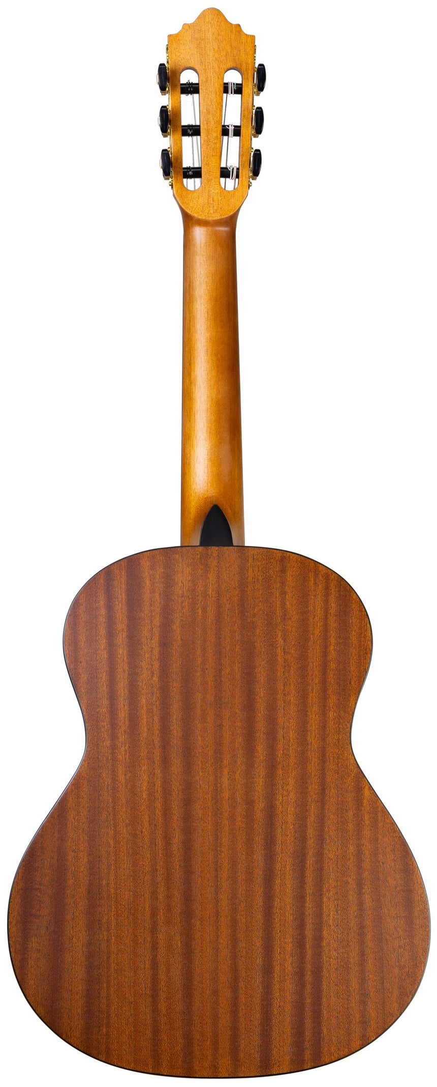 Contigo C-23 1/2, matt natural wood – rear view