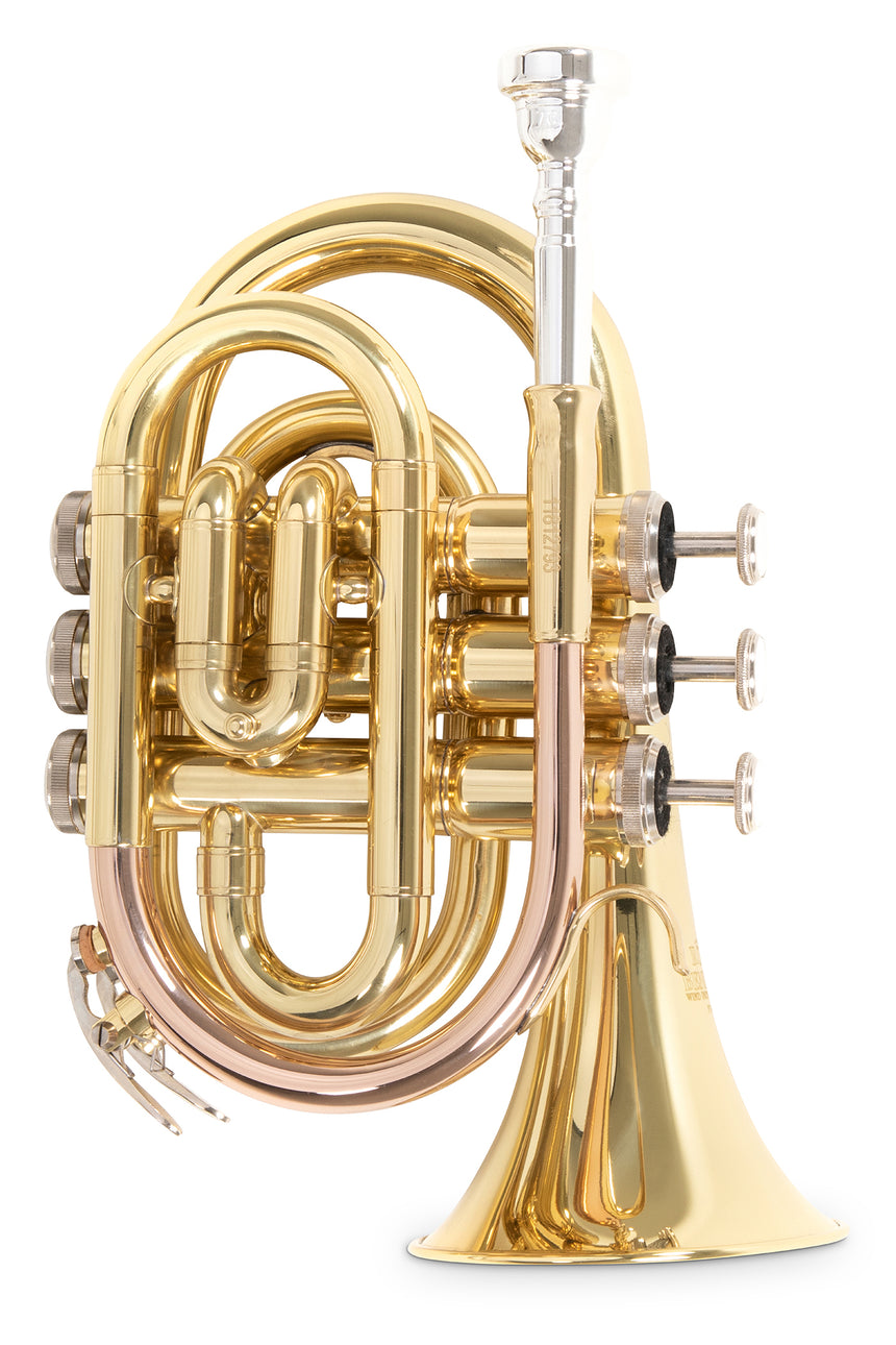 Roy Benson PT-101, klar lackiertes Messing – aufrechte Vorderansicht