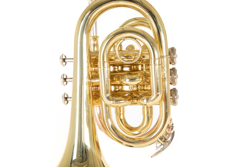 Roy Benson PT-101, klar lackiertes Messing – Rückansicht