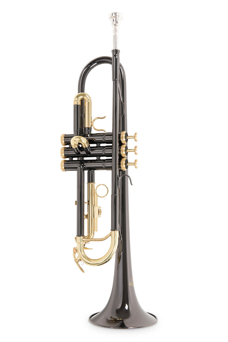 Roy Benson TR-101K, anthrazit – aufrechte Vorderansicht