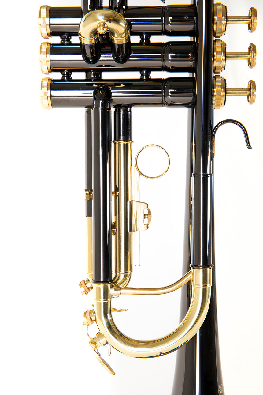 Roy Benson TR-101K, anthracite – vue arrière