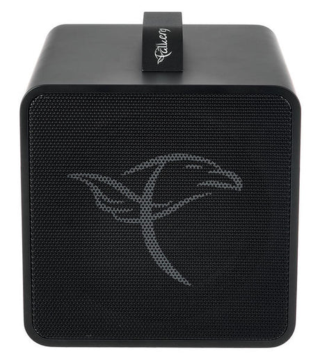 Falken 1 Traveller Akustik-Amp mit Akku + Bluetooth, weiss/schwarz inkl. Tasche - Musik-Ebert Gmbh