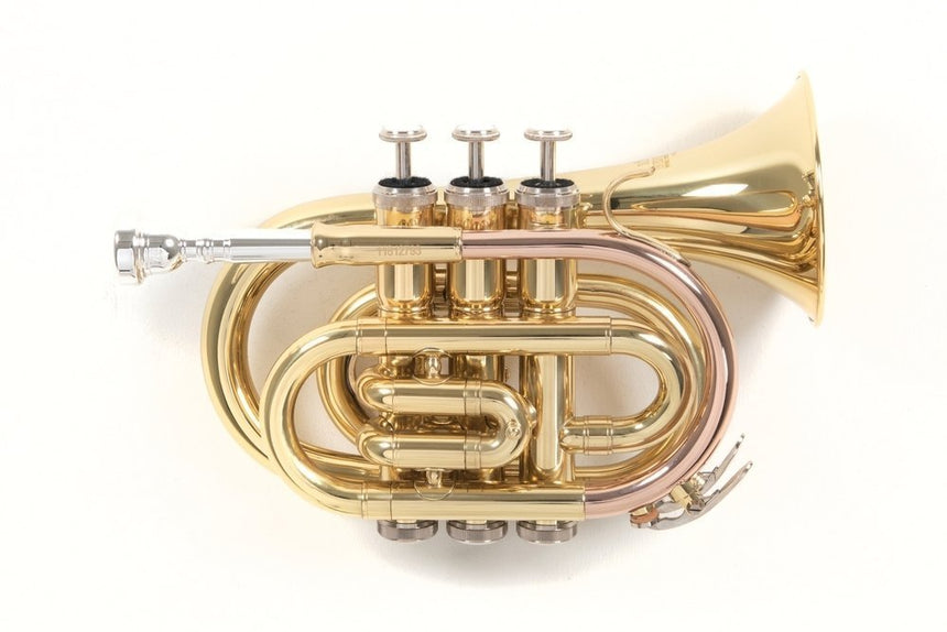 Gewa Pure Bb-Taschentrompete Roy Benson PT-101 goldlackiert - Musik-Ebert Gmbh