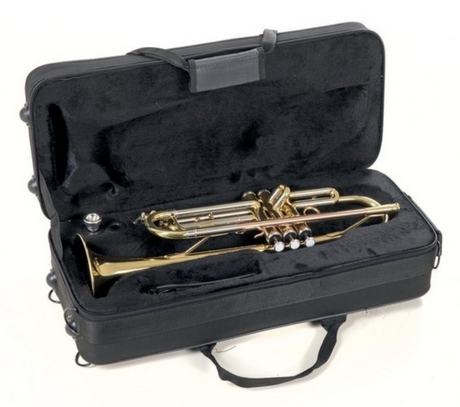 Roy Benson Trompete TR-202 - Musik-Ebert Gmbh