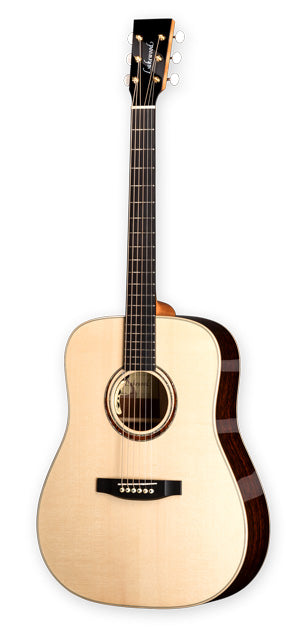 Lakewood D-53 Premium - Dreadnought Modell mit Tonabnehmer - Musik-Ebert Gmbh
