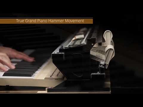 Casio piano hybride GP-310 Celviano