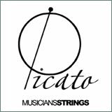 Picato Einzelsaite Plain Steel für Westerngitarre verschiedene Stärken - Musik-Ebert Gmbh